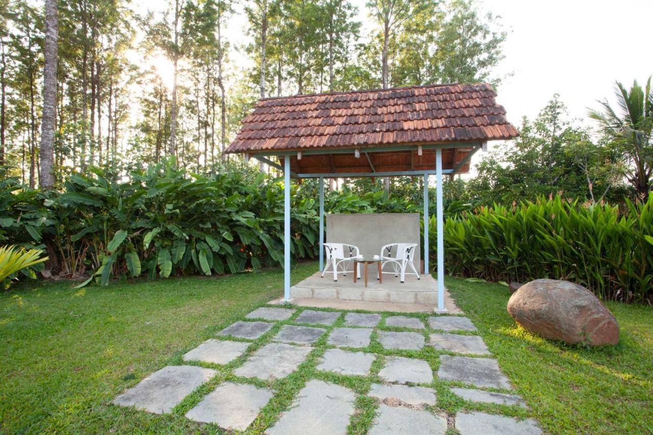 Stayvista At Cedar - Strelitzia 2Bhk With Breakfast And Jacuzzi Chikmagalūr Exterior foto