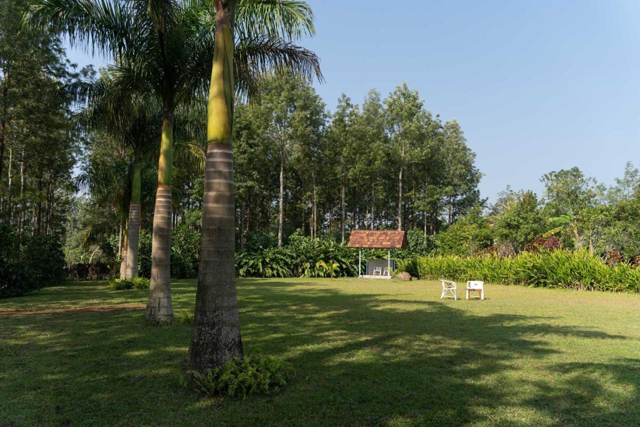 Stayvista At Cedar - Strelitzia 2Bhk With Breakfast And Jacuzzi Chikmagalūr Exterior foto